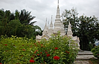 Manting Park in Xisuangbanna