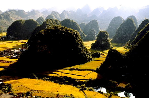 Karstlandschaft in China: Xingyi Wangfenglin